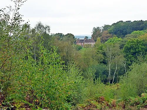 Snelsmore Common Country Park (SSSI)