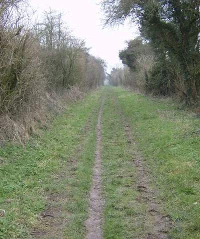 Bitham Lane Looking east from the western end of the grid square. A restricted Byway formerly a Road Used as a Public Path (RUPP).