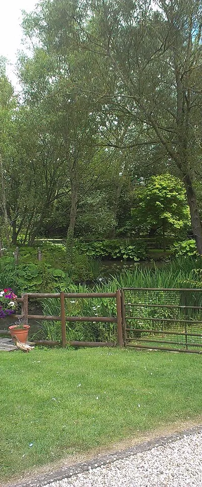 Beer Garden at The Duck on the Pond