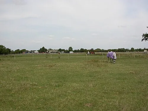 Bampton, paddocks