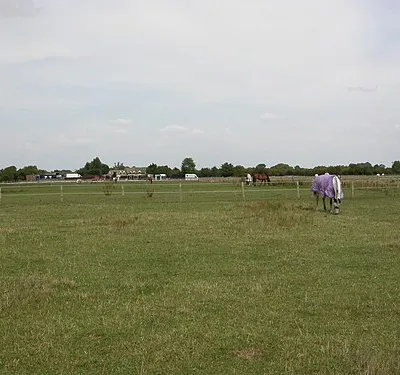 Bampton, paddocks