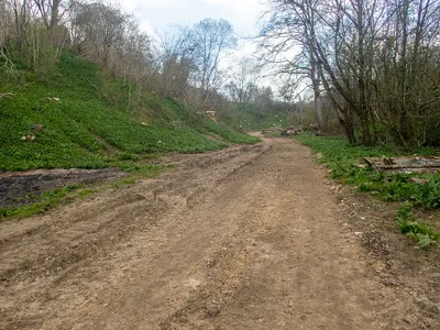 A landscape changed