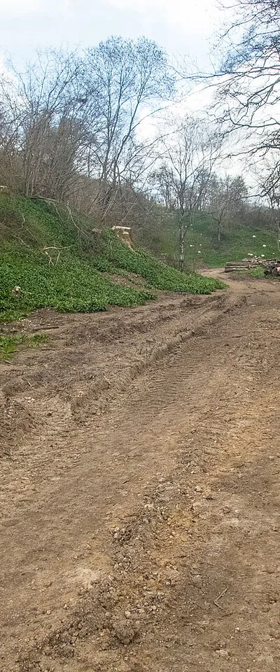 A landscape changed