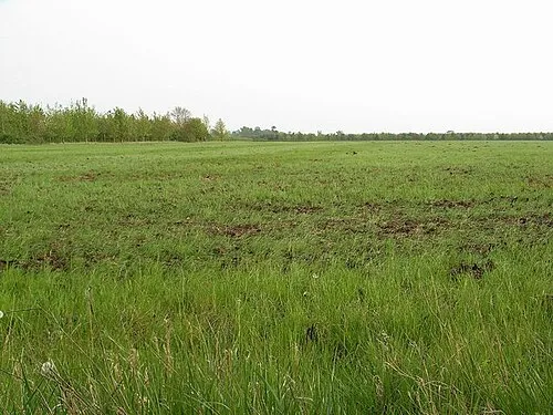 Ash Bank