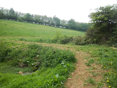 Glyme Valley
