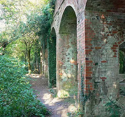 Bridge over trackbed of M&amp;SWJR, near South Cerney This bridge is almost identical to this one 1517895 about 1.5 kms to the south-east. Why it has all those arches one can only speculate. Maybe there were grand plans to make the line multi-track at one time. Keyword:M&amp;SWJR