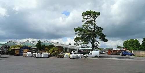 Greatfield Nurseries Garden Centre