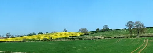 Arable landscape at Bourtonfields Farm