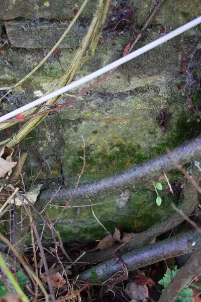 Benchmark on 'Hill House'