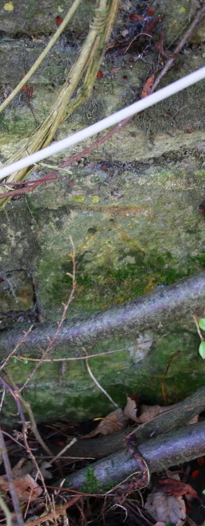 Benchmark on 'Hill House'