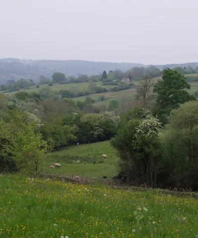 Countryside near Sallywood Farm A view along the southern edge of the square, taken from a meadow beside the restricted byway between Upper and Lower Lutheredge Farms. The valley is a tributary of the Miry Brook. The farm in the distance is Twatley.