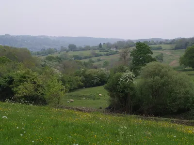 Countryside near Sallywood Farm A view along the southern edge of the square, taken from a meadow beside the restricted byway between Upper and Lower Lutheredge Farms. The valley is a tributary of the Miry Brook. The farm in the distance is Twatley.
