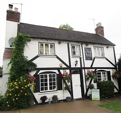 Callow End - The Old Bush