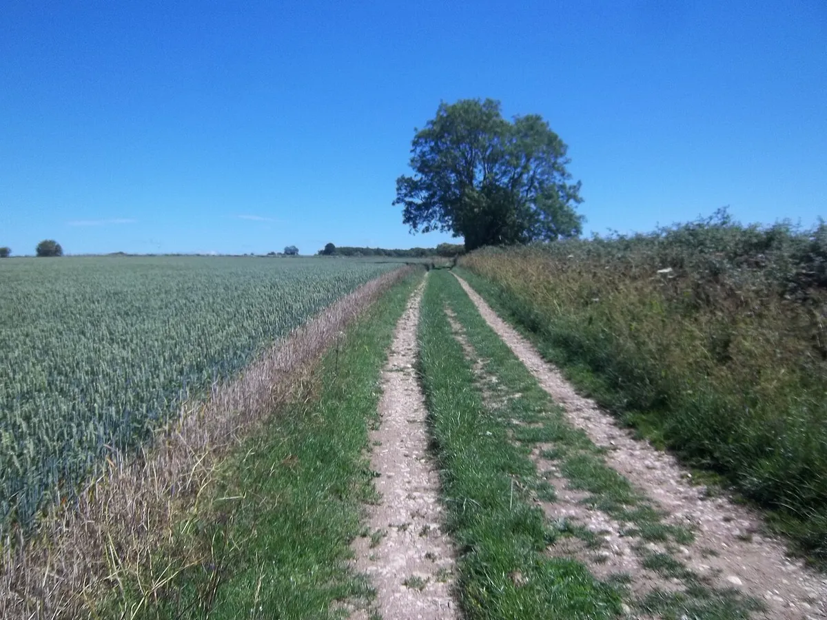 Along the byway [1]