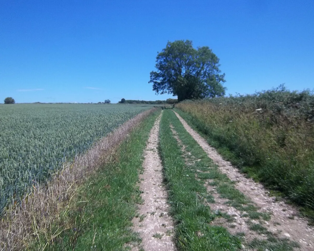 Along the byway [1]