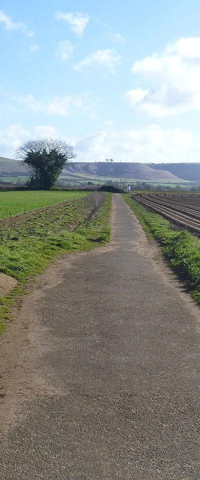 A walk around Bromham [3]