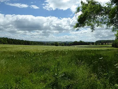 A barley field near Cornwell