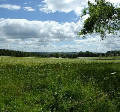 A barley field near Cornwell