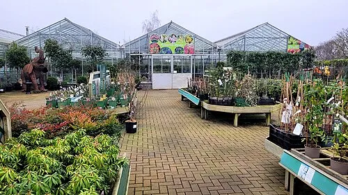 Plant area at The Dawn Nurseries