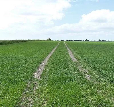 From Stanton St Bernard to Wansdyke and return [84]