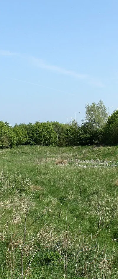 2011 : Field near the A3102 Calne bypass