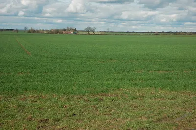 Arable land and Bucklands Farm View across arable land to Bucklands Farm, viewed from the Wormington to Laverton road.