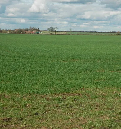 Arable land and Bucklands Farm View across arable land to Bucklands Farm, viewed from the Wormington to Laverton road.
