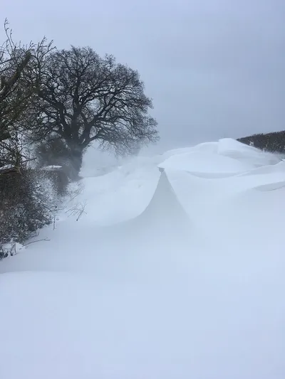 A photograph of heavy snowfall at Hidcote Bartrim, Gloucestershire in March 2018