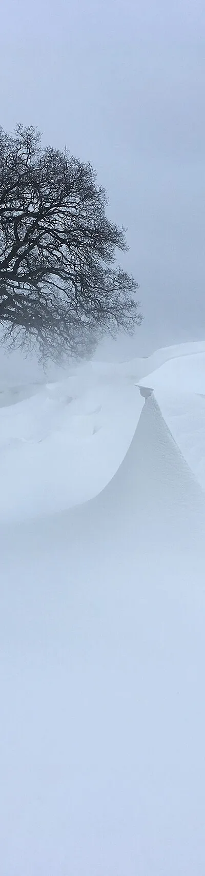 A photograph of heavy snowfall at Hidcote Bartrim, Gloucestershire in March 2018