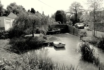 Broadmead Brook, West Kington, Wiltshire 2014