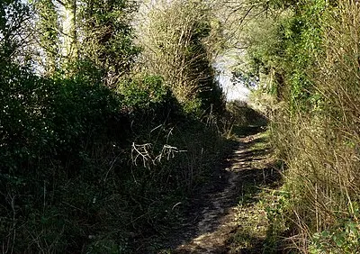 Track and bridleway