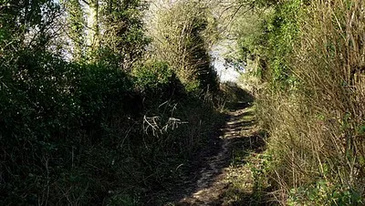 Track and bridleway