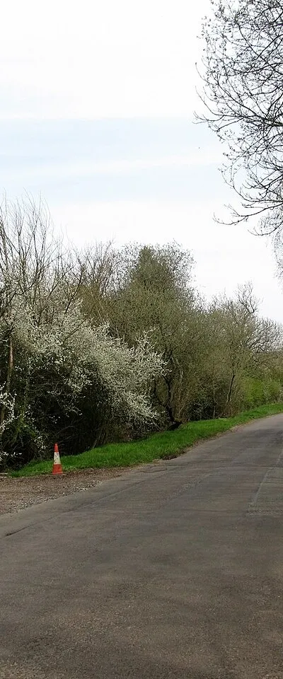 Burdrop-Hawk's Lane