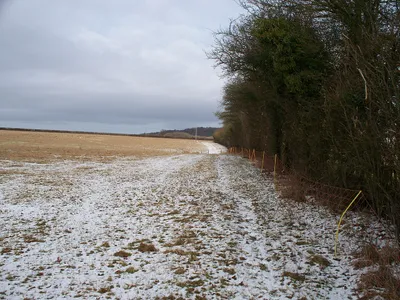 Along the field edge Having crossed the minor road, the footpath continues along the edge of the field.