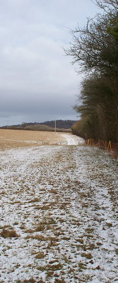 Along the field edge Having crossed the minor road, the footpath continues along the edge of the field.
