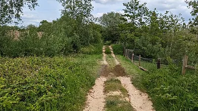 Boggy section of path