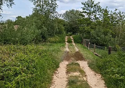 Boggy section of path