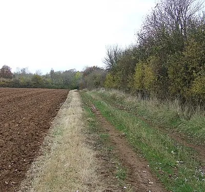 Bridleway at Shill Hill