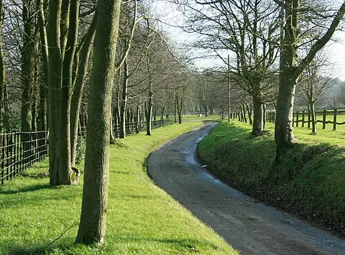 A fine avenue on Euridge Lane A no through road with Euridge Manor Farm at the end.