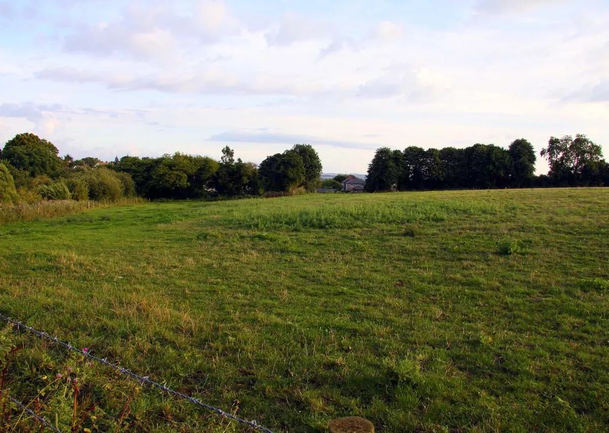 A field by the Great Barn