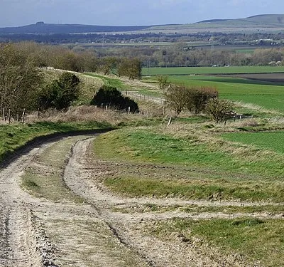 Bridleway and farmland, Manningford