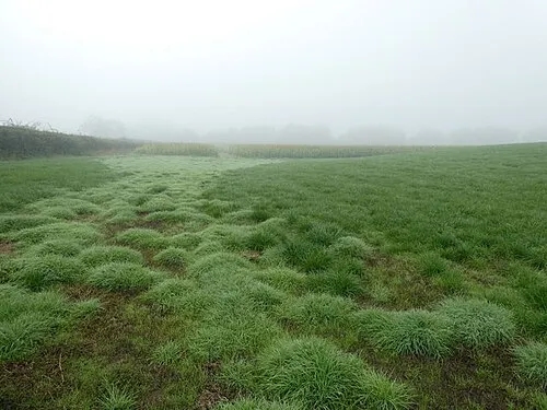Adjacent to the Roman fort earthworks