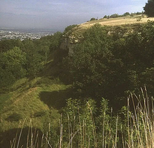 Cliff at Leckhampton Hill Looking north-east across the old quarry face to Cheltenham.