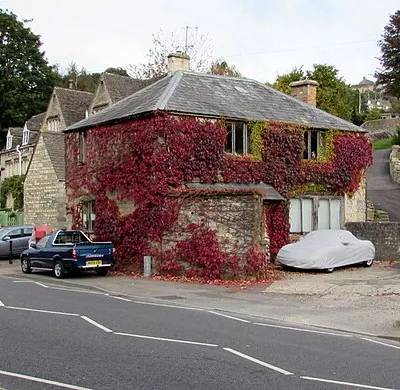 Ivy-clad building in Rooksmoor