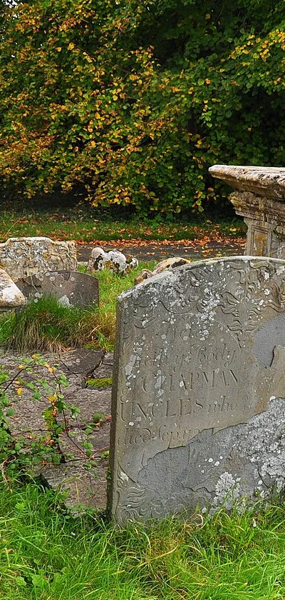 Chest Tombs, Parish Church, Foxley, Wiltshire 2020