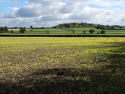 View to Gadbury Bank