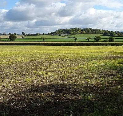 View to Gadbury Bank