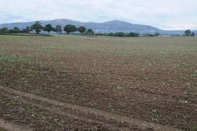 Arable field at Clevelode