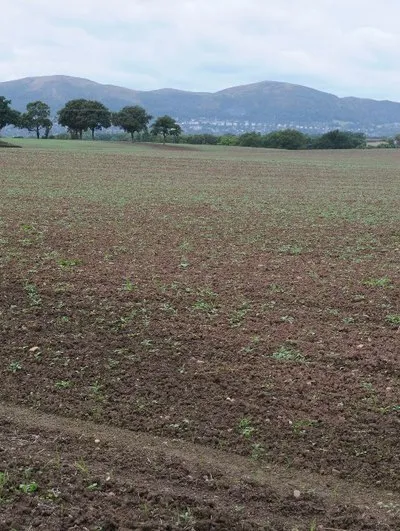 Arable field at Clevelode