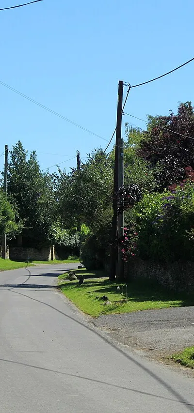 2012 : Village street, Littleton Drew